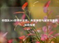 中国队2014世界杯征程,未竟梦想与足球发展的深刻反思