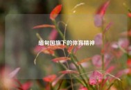  缅甸国旗下的体育精神