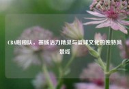 CBA啦啦队，赛场活力精灵与篮球文化的独特风景线
