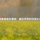 世预赛南美区赛程：通往世界杯的漫长征程