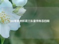 2008年欧洲杯荷兰队豪华阵容回顾
