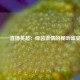 一一直播英超：绿茵激情的视听盛宴