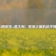 2012西班牙vs意大利：欧洲之巅的战术博弈