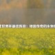 南非世界杯最佳阵容：绿茵传奇的永恒烙印