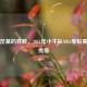 诺维茨基的救赎，2011年小牛队NBA季后赛逆袭传奇