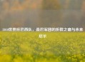 2010世界杯巴西队,桑巴军团的折戟之痛与未来启示