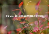 北京2008,第29届奥运会的荣耀与梦想盛会 北京2008,第29届奥运会的荣耀与梦想盛会