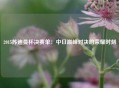 2015苏迪曼杯决赛单：中日巅峰对决的荣耀时刻