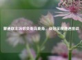 蒙通联主场憾负鹿岛鹿角，亚冠征程遭遇挑战