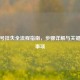 手机号挂失全流程指南，步骤详解与关键注意事项