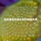 桑坦德竞技俱乐部的绿茵传奇