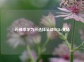 玛雅摩尔为何选择征战WCBA赛场