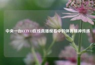 中央一台CCTV13在线直播观看中的体育精神传递