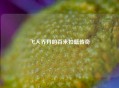 飞人乔丹的百米扣篮传奇