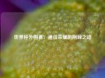 世界杯外围赛：通往荣耀的荆棘之路