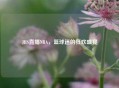 JRS直播NBA，篮球迷的狂欢盛宴
