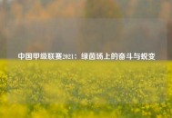 中国甲级联赛2021：绿茵场上的奋斗与蜕变