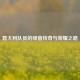 意大利队员的绿茵传奇与荣耀之路