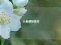  火箭模型图片