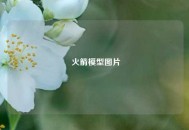  火箭模型图片