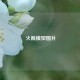  火箭模型图片