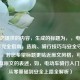 根据您提供的内容，生成的标题为，，电动车新手完全指南，选购、骑行技巧与安全守则，（注，若您希望标题更贴近原文风格，可调整为类似原文的表述，如，电动车骑行入门宝典，从零基础到安全上路全解析）
