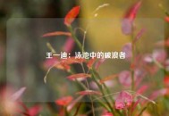  王一迪：泳池中的破浪者