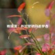 程靖淇：乒坛坚韧的追梦者