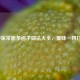 50种家常面条卤子做法大全，美味一网打尽！