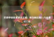 巴西甲级联赛激战正酣：帕尔梅拉斯2-1力克弗拉门戈