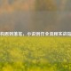 从构思到落笔，小说创作全流程实战指南