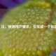 (注,根据用户要求,仅生成一个标题)