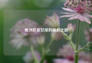 爱沙尼亚女排的崛起之路