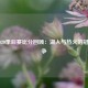 NBA2020季后赛比分回顾：湖人与热火的冠军之争