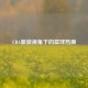 CBA新浪视角下的篮球热潮