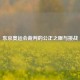 东京奥运会裁判的公正之眼与挑战