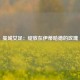 曼城女足：绽放在伊蒂哈德的玫瑰