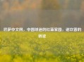 巴萨中文网，中国球迷的红蓝家园，诺坎普的桥梁