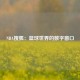 NBA搜狐：篮球世界的数字窗口