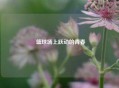  篮球场上跃动的青春