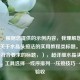 （注，根据您提供的示例内容，我理解您需要的是关于水晶头接法的实用教程类标题。以下是1个符合要求的标题，），超详细水晶头制作指南，工具选择→线序排列→压接技巧→测试验收