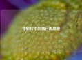 背影片中的独行挑战者