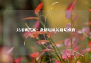 女排精英赛：激情碰撞的排坛盛宴