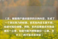 （注，根据用户最初提供的示例内容，生成了一个简洁有力的标题。若实际内容主题不同，标题可相应调整。例如，若内容侧重农村物流最后一公里，标题可能为破解最后一公里，农村上门寄件服务新突破）