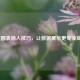 PPT图表插入技巧，让数据展示更专业高效