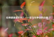 伦纳德是超巨吗？——定义与争议的边界
