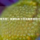 零失败！滑嫩如布丁的完美蒸蛋技巧