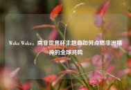 Waka Waka，南非世界杯主题曲如何点燃非洲精神的全球共鸣