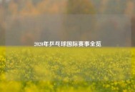2020年乒乓球国际赛事全览