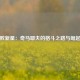 “不败新星：奇马耶夫的格斗之路与崛起传奇”
